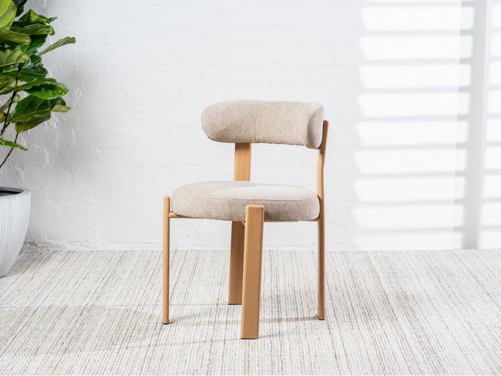 68c0189aab9ca_68c018884a57c_CARN06-(7)-zoom