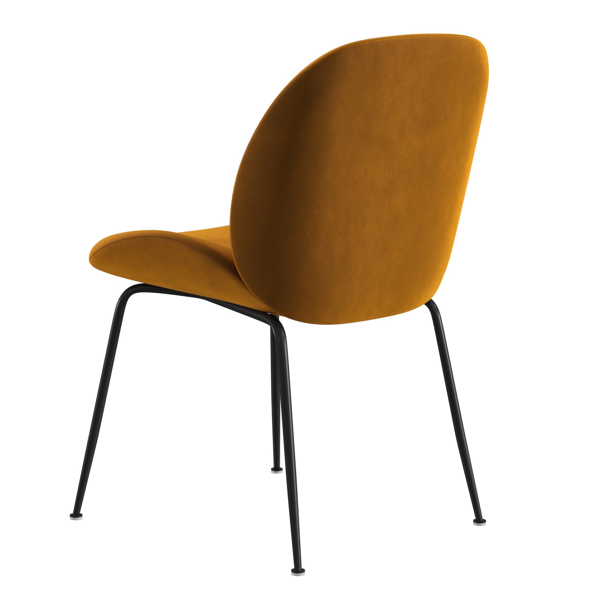 Asta Mustard (AS06)_0003