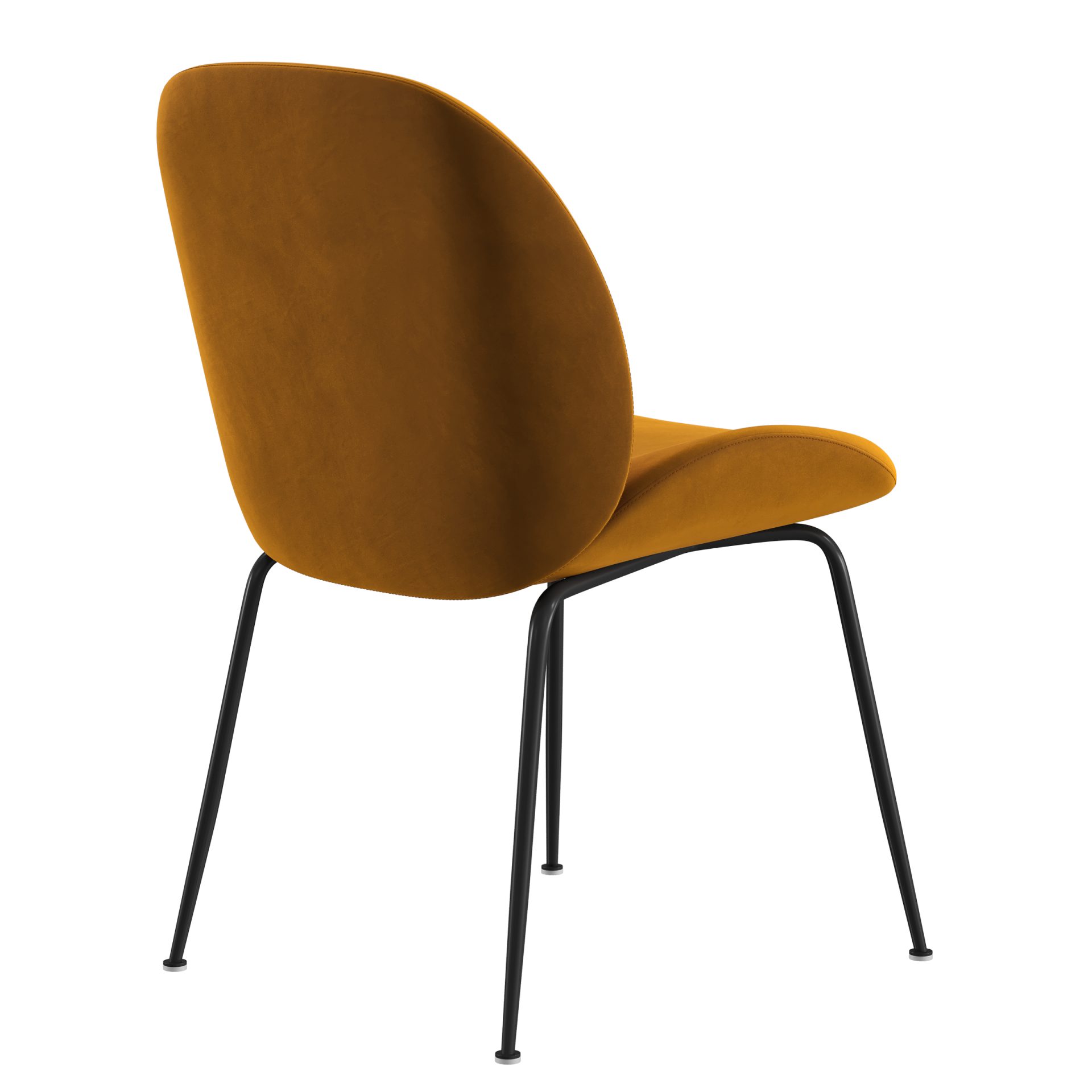 Asta Mustard (AS06)_0005