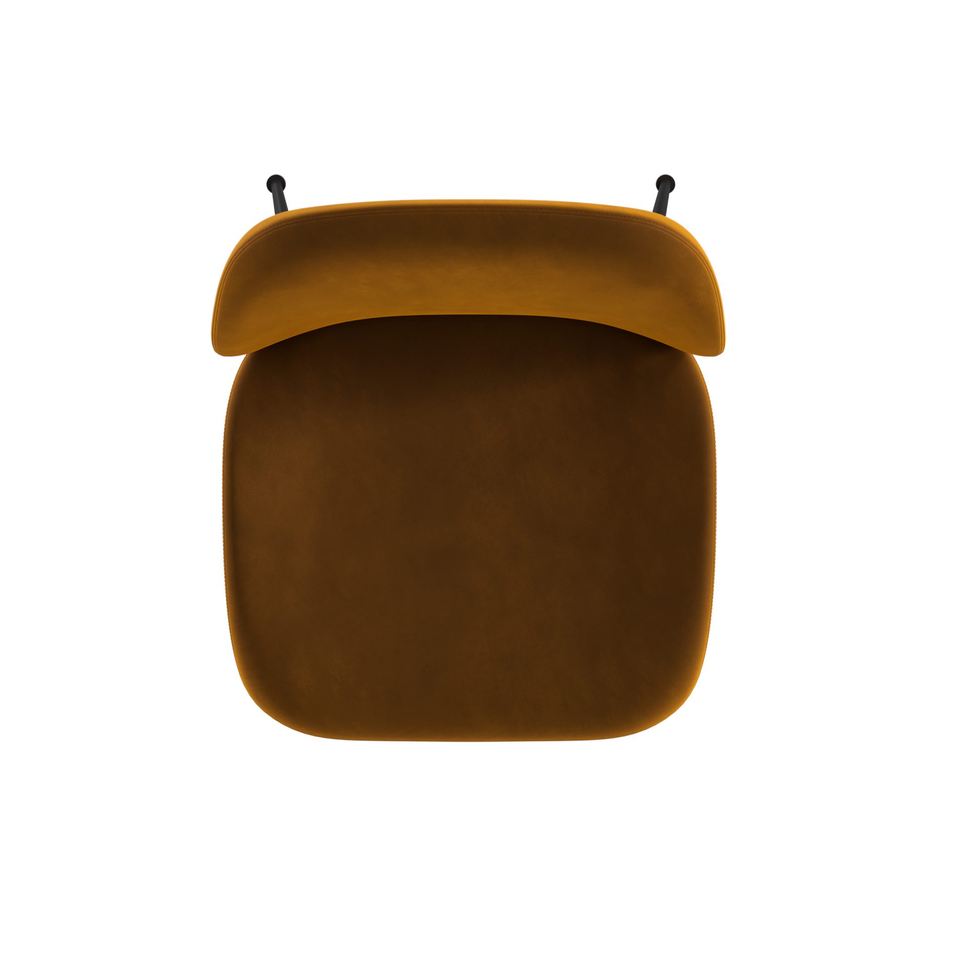 Asta Mustard (AS06)_0009